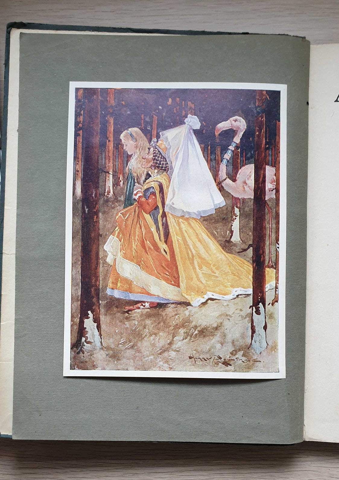 Alice in Wonderland Rare Antique Edition